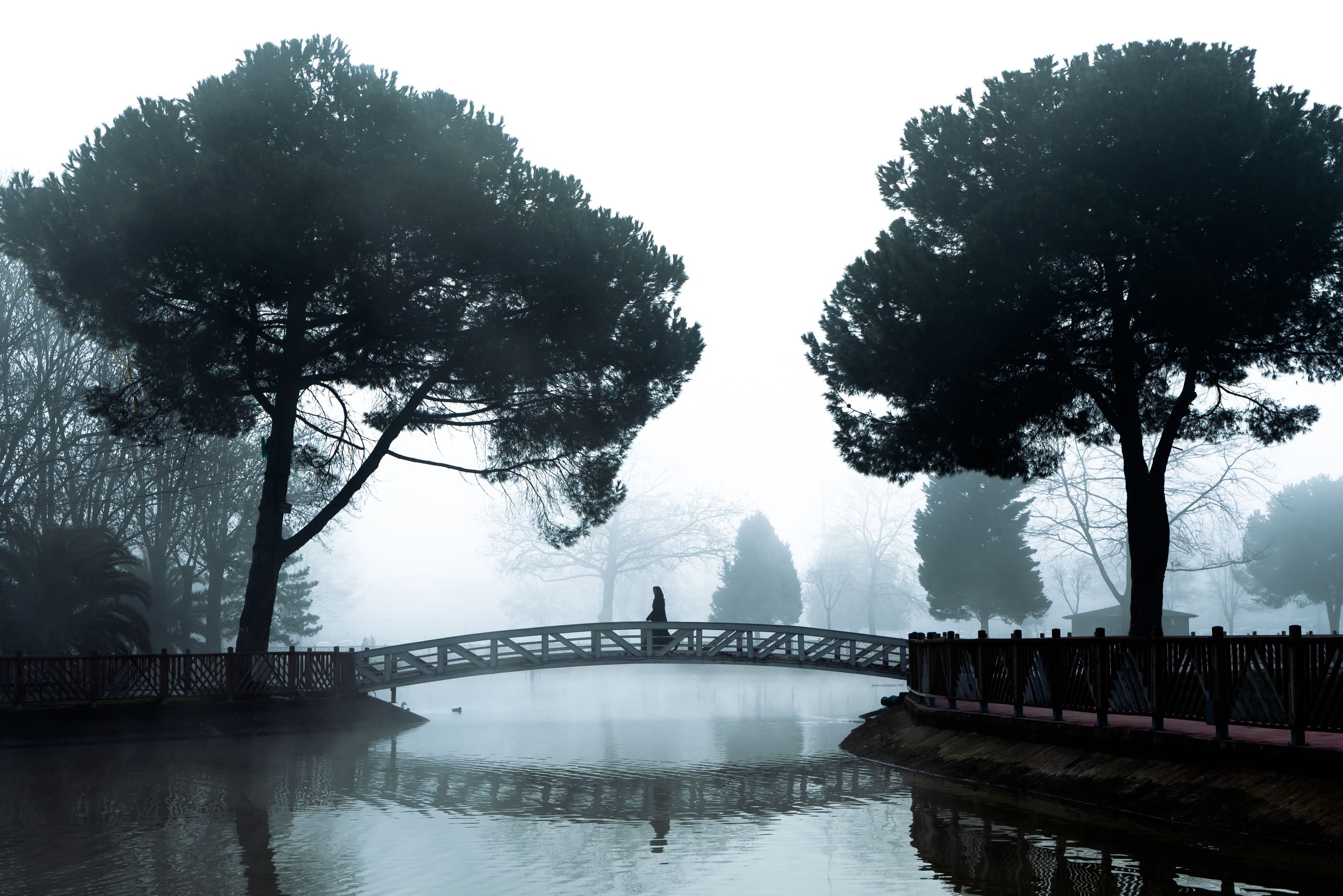 Person walking over a wooden bridge surrounded by trees in a misty forest setting.